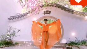 网红吃瓜营地,揭秘娱乐圈幕后风云